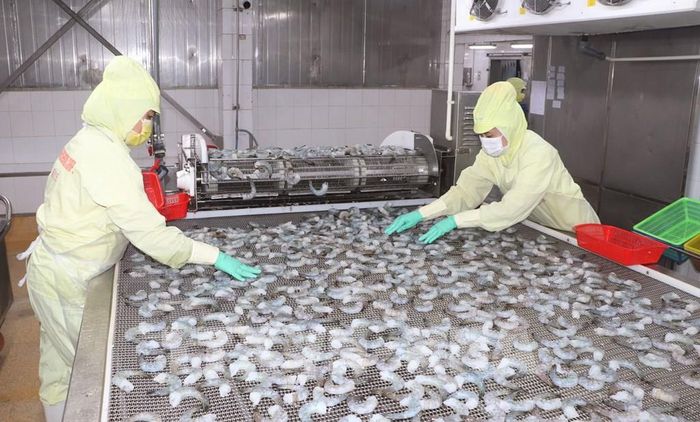 Doanh nghiệp ứng dụng công nghệ vào chế biến sản phẩm tôm. Ảnh: Tuấn Phi - TTXVN 