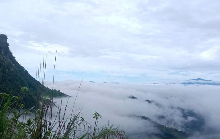 Mây trắng bồng bềnh phủ kín sườn núi.