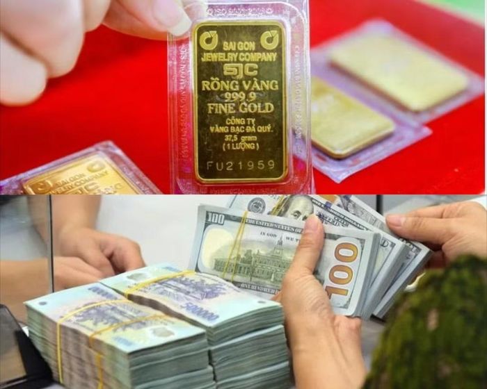Hiện cô gái đang có khoảng 100 triệu đồng tiền mặt, 8.000 USD tiền mặt và 1 chỉ vàng (Ảnh minh họa)