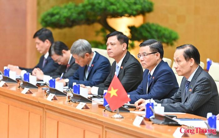 Bộ trưởng Bộ Công Thương Lê Mạnh Hùng cùng đại diện Chính phủ Việt Nam tham dự hội đàm.