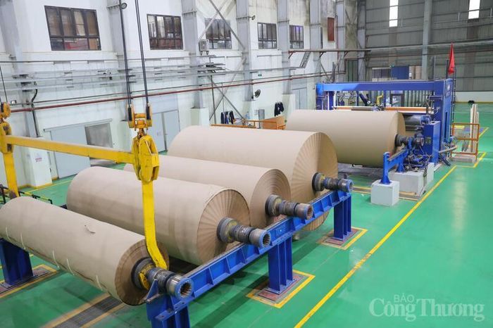 Hoạt động sản xuất giấy tại doanh nghiệp.