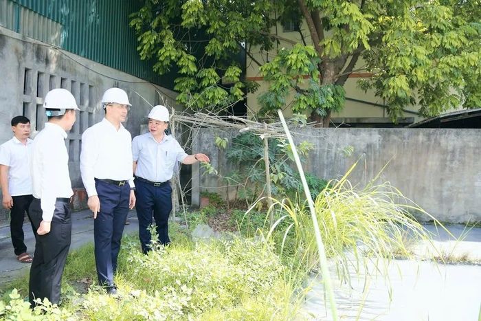 Phó Bí thư Thường trực Tỉnh ủy Nguyễn Hồng Phong thăm, kiểm tra tình hình sản xuất tại Hội nghề đá Yên Lâm (xã Quý Lộc).