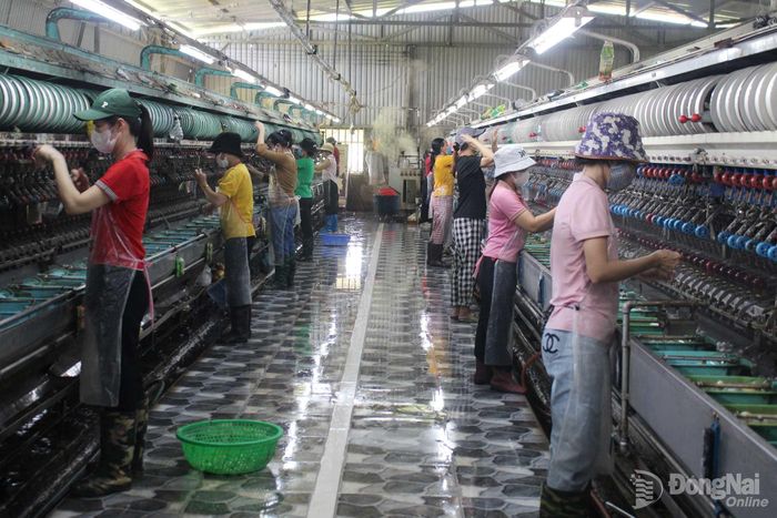 Người lao động làm việc tại một hợp tác xã sản xuất và dịch vụ nông nghiệp tại xã Đak Lua. Ảnh minh họa