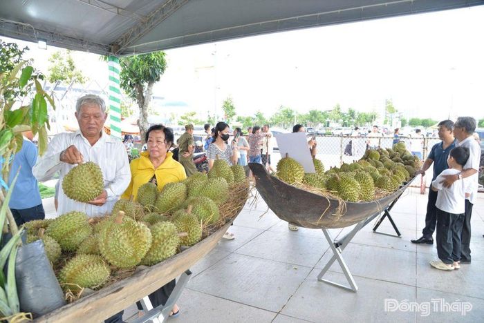 Không gian trưng bày, triển lãm chuỗi giá trị ngành hàng trái cây Đồng Tháp thu hút đông đảo người dân đến tham quan.