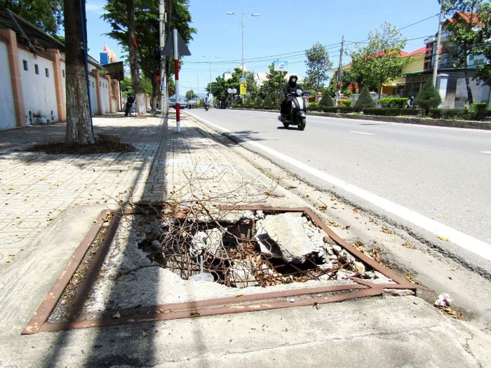 Ảnh chụp ngày 8-6-2026.