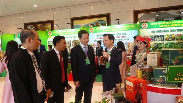 Đồng chí Nguyễn Ngọc Vinh - Phó Bí thư Tỉnh ủy, Chủ tịch Ủy ban Mặt trận Tổ quốc Việt Nam tỉnh Lai Châu cùng các đại biểu tham quan gian trưng bày, giới thiệu sản phẩm Ocop của Lai Châu.