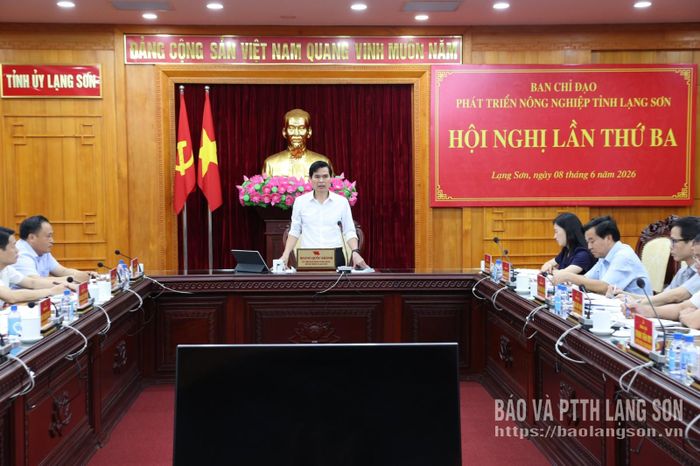 Đồng chí Hoàng Quốc Khánh, Ủy viên Trung ương Đảng, Bí thư Tỉnh ủy, Trưởng Ban Chỉ đạo phát biểu kết luận hội nghị