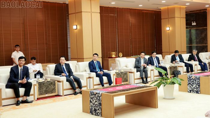 Đại biểu tỉnh Lào Cai tại buổi làm việc.