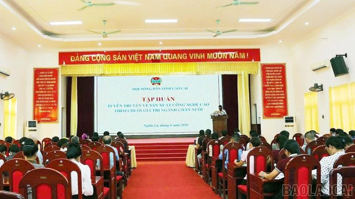Quang cảnh buổi tập huấn.
