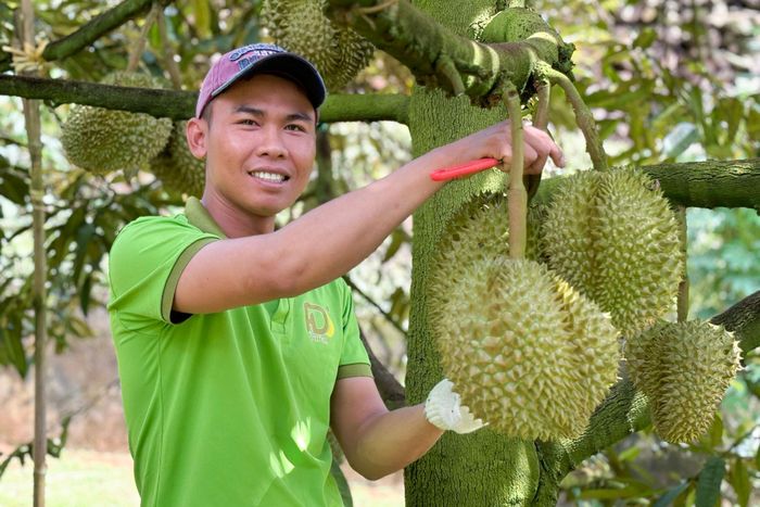 Nông dân Lâm Đồng gửi gắm niềm tin tới đại hội toàn quốc