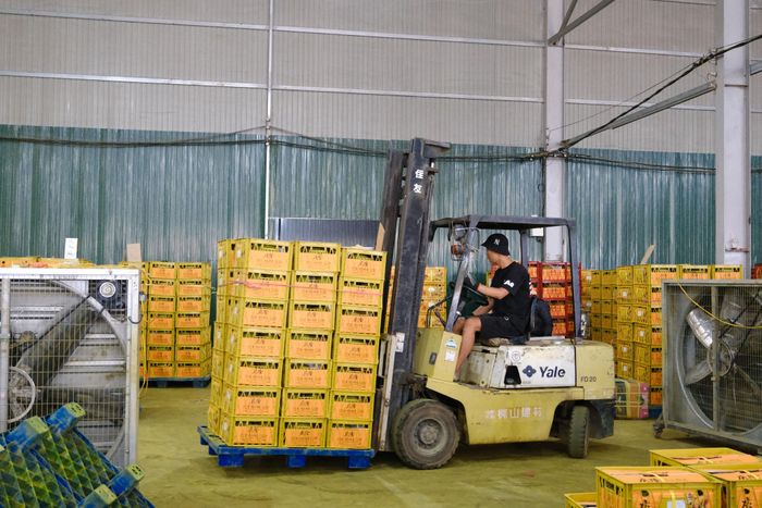 Sản xuất "xanh" và minh bạch là “tấm hộ chiếu” quan trọng để nông sản Lâm Đồng tiếp tục vươn xa trên thị trường quốc tế trong giai đoạn mới