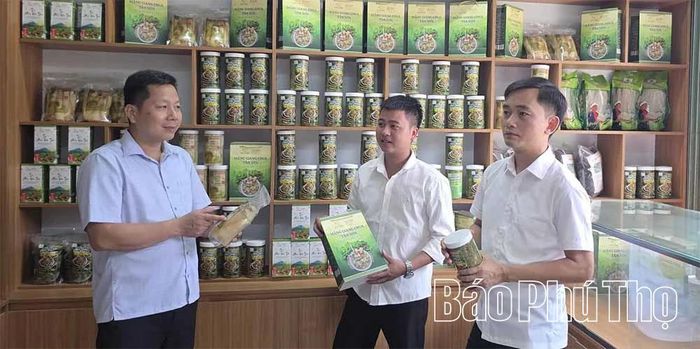 Sản phẩm Măng giang chua Tân Sơn được công nhận OCOP 3 sao.