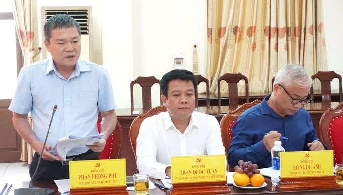 Đồng chí Phan Phong Phú, Phó Chủ tịch UBND tỉnh phát biểu tại buổi làm việc - Ảnh: Q.V