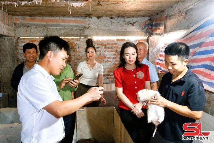 Các bí thư chi bộ, trưởng bản, trưởng ban công tác mặt trận xã Mường Chanh tham quan mô hình phát triển kinh tế.