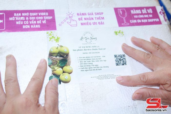 Tem truy xuất nguồn gốc giúp người tiêu dùng dễ dàng nhận diện sản phẩm lê Tai Nung Phiêng Khoài.