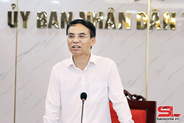 Đồng chí Nguyễn Minh Tiến, Phó Chủ tịch UBND tỉnh phát biểu kết luận cuộc họp