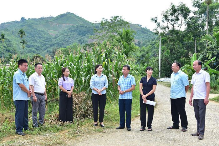 Phó Bí thư Thường trực chuyên trách Đảng ủy UBND tỉnh Nông Thị Bích Huệ kiểm tra, nắm tình hình công tác sắp xếp thôn tại thôn 7 Minh Tiến, xã Bình Xa.