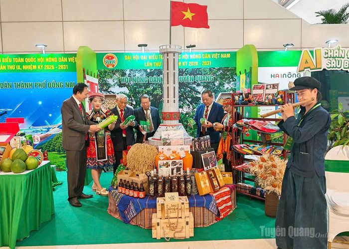 Các đồng chí đại biểu tham quan gian trưng bày của Hội Nông dân tỉnh Tuyên Quang tại Đại hội.