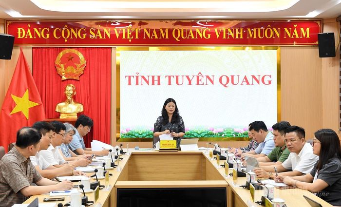 Đồng chí Phó Chủ tịch UBND tỉnh Vương Ngọc Hà chủ trì cuộc họp.