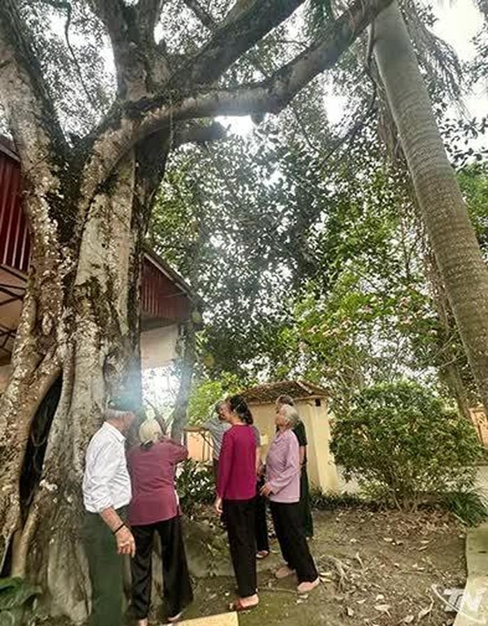 Đền Túc Duyên là nơi cựu dân quân Gia Sàng những năm 1960 chọn làm địa điểm tổ chức gặp mặt hàng năm.