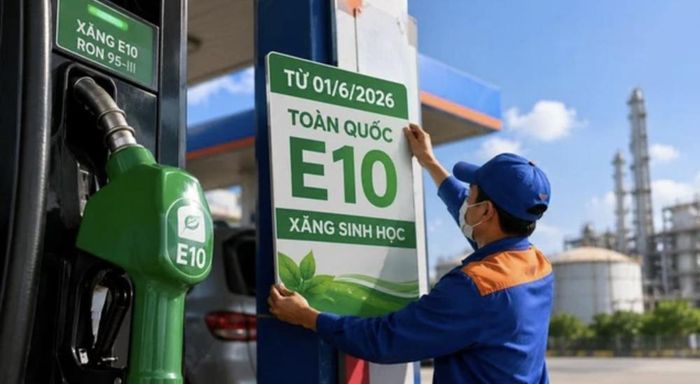 Các mẫu xe Toyota nào tại Việt Nam tương thích xăng E10.
