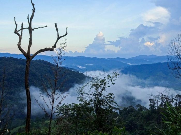 Măng Đen được mệnh danh là "Đà Lạt thu nhỏ" với rừng nguyên sinh, hồ, thác nước, rừng thông, khí hậu mát mẻ trong lành, không gian yên bình (Ảnh: Internet)