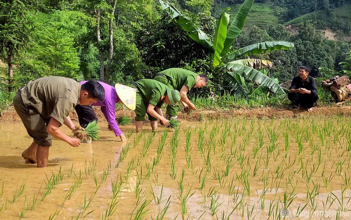 Ông Lù Dỉ Xìn (người dân thôn Lủng Cẩu) xúc động chia sẻ: “Gia đình tôi neo người, việc cấy lúa rất vất vả. Cả năm chỉ cấy duy nhất một vụ nên nếu để chậm trễ sẽ ảnh hưởng không nhỏ tới đời sống của gia đình. Được các đồng chí Công an đến giúp đỡ, gia đình tôi rất cảm kích trước tinh thần tương thân tương ái, vì cộng đồng, vì cuộc sống bình yên và hạnh phúc của nhân dân”.