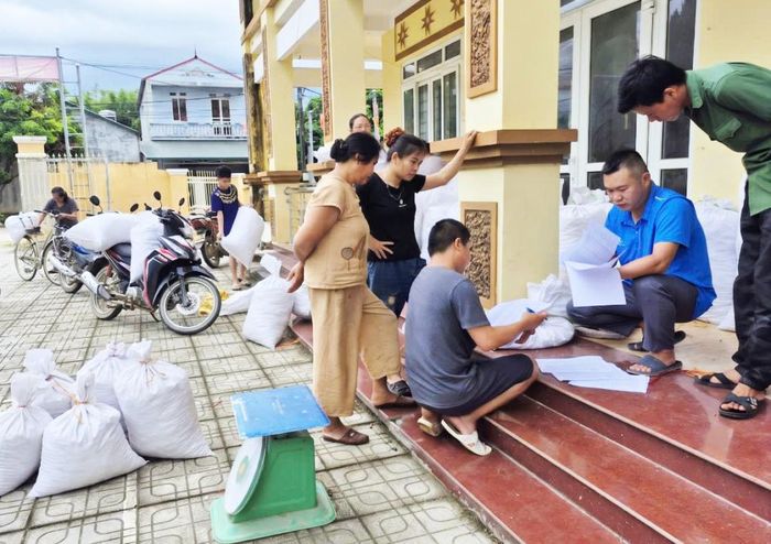 Đơn vị thu mua tiến hành cân, tập kết ớt hữu cơ cho người dân tại điểm thu mua tập trung.