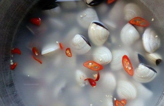 Pha nước muối loãng tạo môi trường giống biển khi ngâm ngao. 