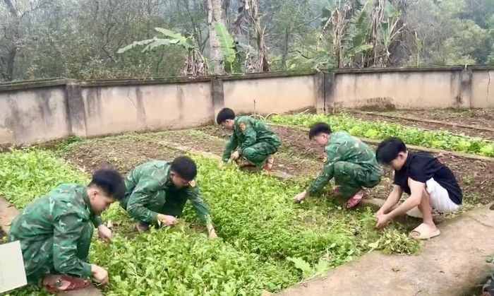  “Con nuôi” của Đồn tham gia cùng các chiến sỹ tăng gia sản xuất, chăm sóc vườn rau. 
