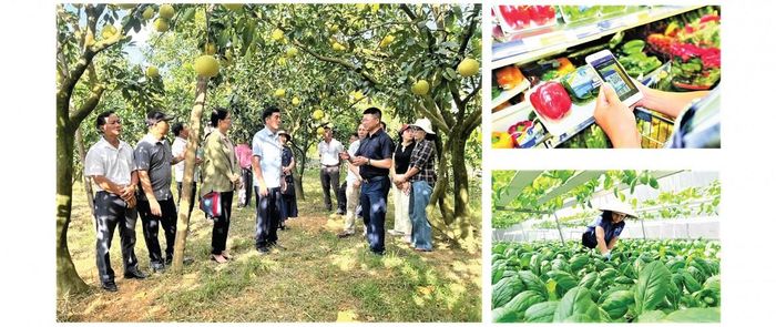 Báo chí không chỉ dừng lại ở vai trò phản ánh thông tin một chiều, mà đã trở thành người mở đường, tri thức hóa nông dân. Ảnh minh họa.