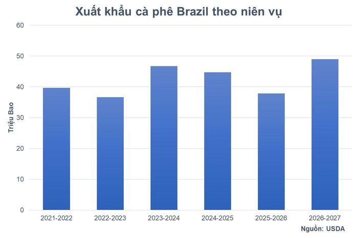 Biểu đồ xuất khẩu cà phê Brazil theo niên vụ. Nguồn: MXV