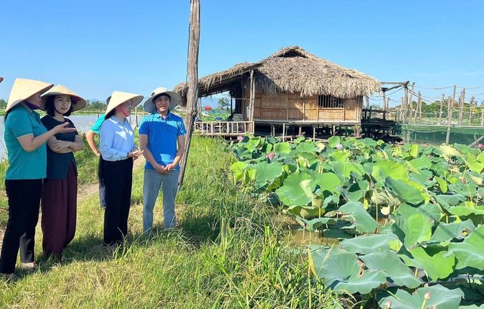 Chủ tịch Hội Nông dân thành phố Hà Nội Phạm Hải Hoa thăm mô hình nông nghiệp sinh thái, công nghệ cao gắn với du lịch trải nghiệm của hội viên nông dân Vương Đắc Lộc - xã Hưng Đạo với vườn sen rộng 20ha có 8 loại sen đặc trưng và 2,5ha nho mẫu đơn, nho hạ đen hữu cơ. Ảnh: HY
