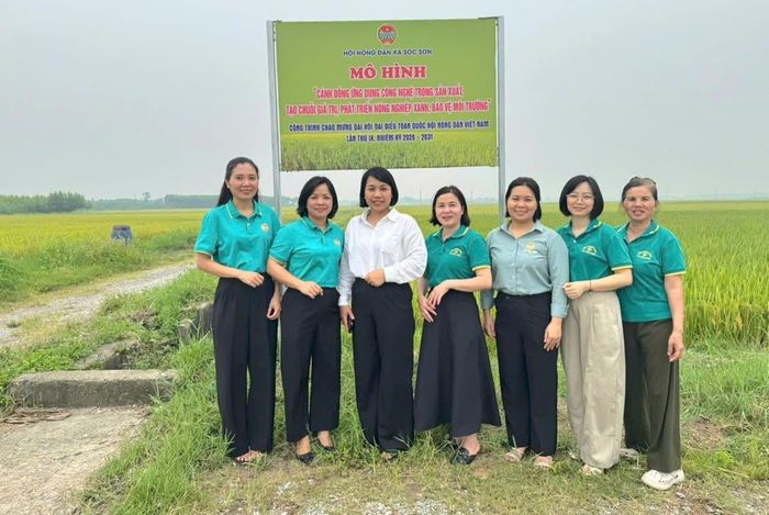 Chào mừng Đại hội Hội Nông dân Việt Nam lần thứ IX, nhiệm kỳ 2026-2031, các Hội Nông dân cơ sở trên địa bàn thành phố thực hiện nhiều hoạt động thiết thực, ý nghĩa. Ảnh: HY