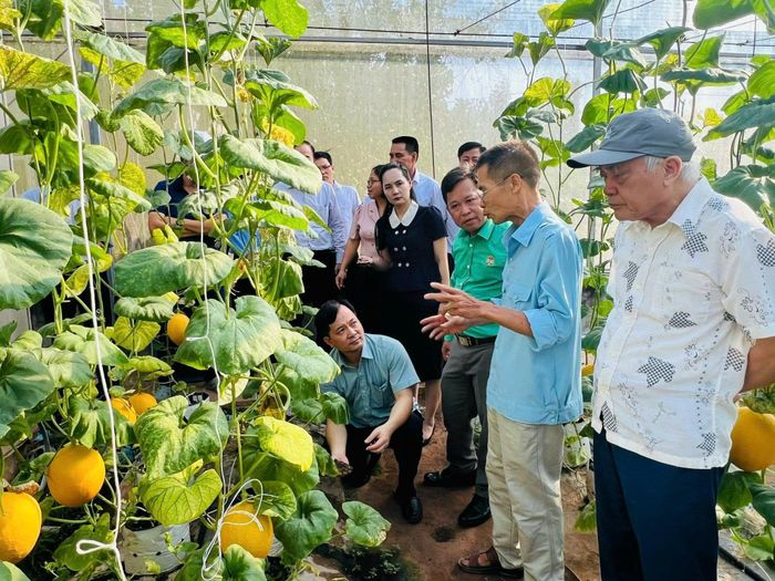 Hội Nông dân thành phố Hà Nội phối hợp với Trường Đại học Khoa học Tự nhiên tổ chức Hội thảo “Ứng dụng vật liệu gel thông minh cho phát triển nông nghiệp có kiểm soát” tại xã Ứng Thiên tháng 5-2026. Ảnh: HY