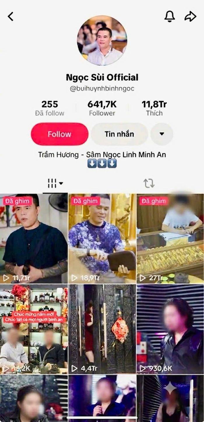Trang tiktok với hàng trăm nghìn lượt folow khoe cuộc sống sang chảnh của đối tượng Ngọc. Ảnh: Nguồn tiktok.