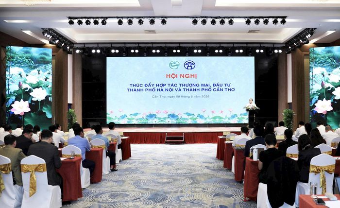 Quang cảnh hội nghị. Ảnh Quang Thái