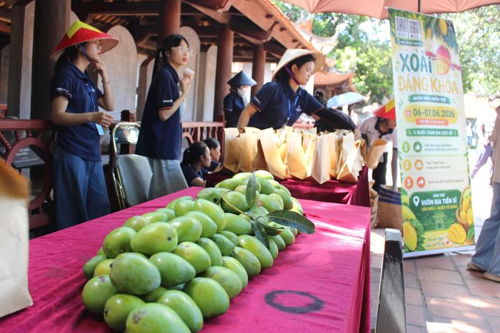 Điểm nhấn đặc biệt là nhiều sĩ tử được trao tặng những trái “xoài Đăng khoa” - được thu hái từ các cây xoài cổ thụ trong khu di tích. Món quà nhỏ nhưng chứa đựng ý nghĩa lớn, như một lời chúc may mắn, tiếp thêm động lực để các em tự tin, vững vàng bước vào kỳ thi quan trọng phía trước.