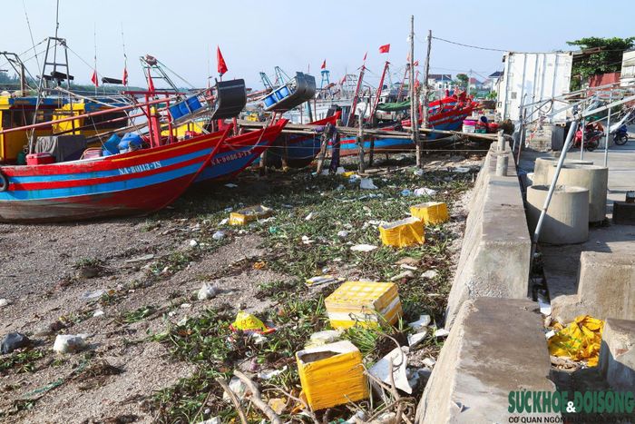 Nhiều sọt mây tre, thùng xốp, khay nhựa hư hỏng bị vứt bỏ ven bờ luồng tuyến, tạo nên những điểm tập kết rác tự phát tại khu neo đậu.