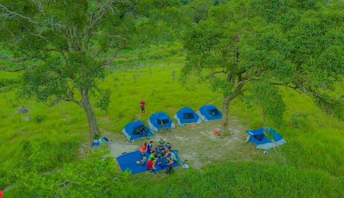 Việc tự ý tổ chức các hoạt động trekking, camping và trải nghiệm thiên nhiên trong lâm phần gây khó khăn cho công tác quản lý, bảo vệ rừng.