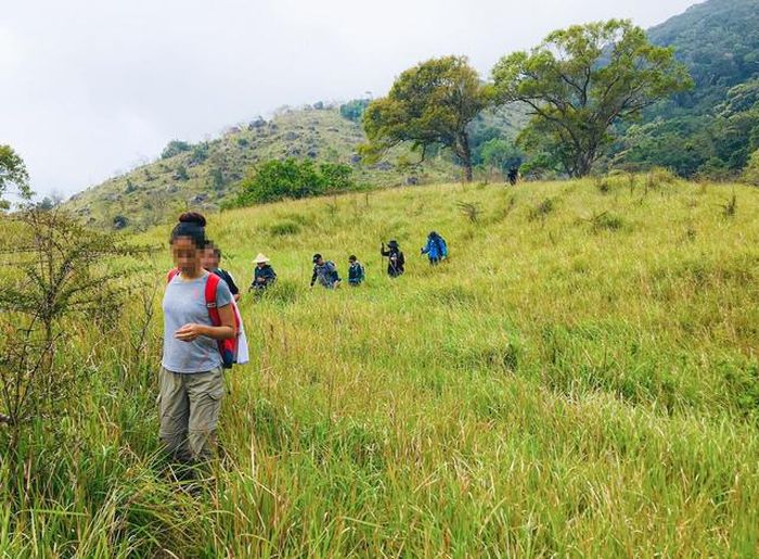 Các đơn vị tổ chức tour trekking, camping và trải nghiệm thiên nhiên trong lâm phần Vườn Quốc gia Núi Chúa - Phước Bình phải thông báo bằng văn bản cho chủ rừng.