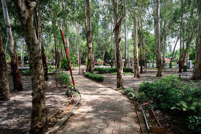 Khu vực cây xanh nằm gần nhà truyền thống và bia tưởng niệm các liệt sĩ được cho là một trong những vị trí nghi có hố chôn tập thể các chiến sĩ hy sinh.