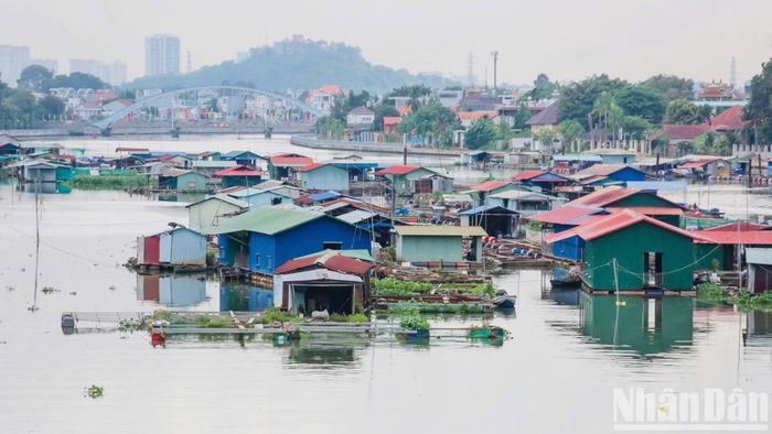 Các lồng bè dày đặc của người dân nuôi cá tự phát trên sông Cái.