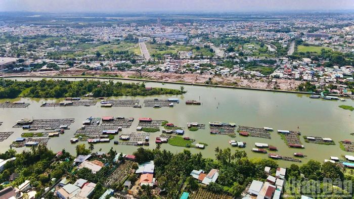 Các hộ dân nuôi cá bè dày đặc trên sông Cái ở khu vực trung tâm thành phố Đồng Nai.
