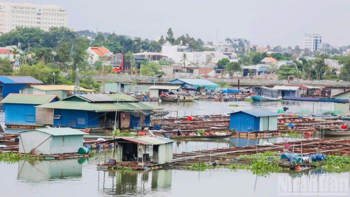 Kết quả quan trắc môi trường từ năm 2023-2025, chất lượng nước tại khu vực nuôi cá bè ô nhiễm hữu cơ, dinh dưỡng và vi sinh.