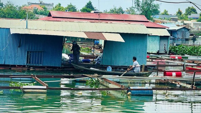 Thức ăn công nghiệp dư thừa không được cá ăn hết và phân cá lắng xuống đáy, việc xả thải cặn bã, rác thải, lưới cũ sau mỗi vụ thu hoạch không qua xử lý gây ô nhiễm hữu cơ.