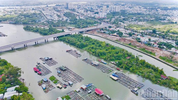 Tại khu vực trung tâm thành phố Đồng Nai trên sông Cái có hàng trăm hộ nuôi cá bè.