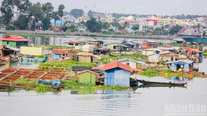 Việc nuôi cá bè tự phát trên sông Đồng Nai diễn ra nhiều năm qua.