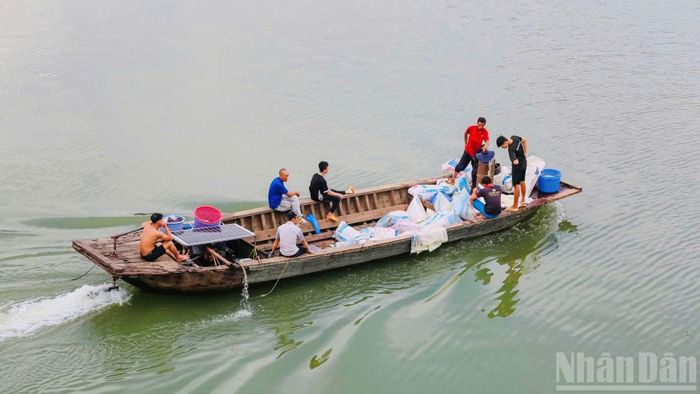 Các hộ nuôi cá vận chuyển thức ăn từ trong bờ ra các bè.