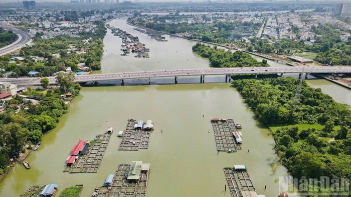 Khu vực các hộ nuôi cá bè trên sông Cái gần cầu Thống Nhất. Trước đây, việc xây dựng cầu này bị ảnh hưởng tiến độ do chậm di dời các lồng, bè của các hộ dân nuôi cá.